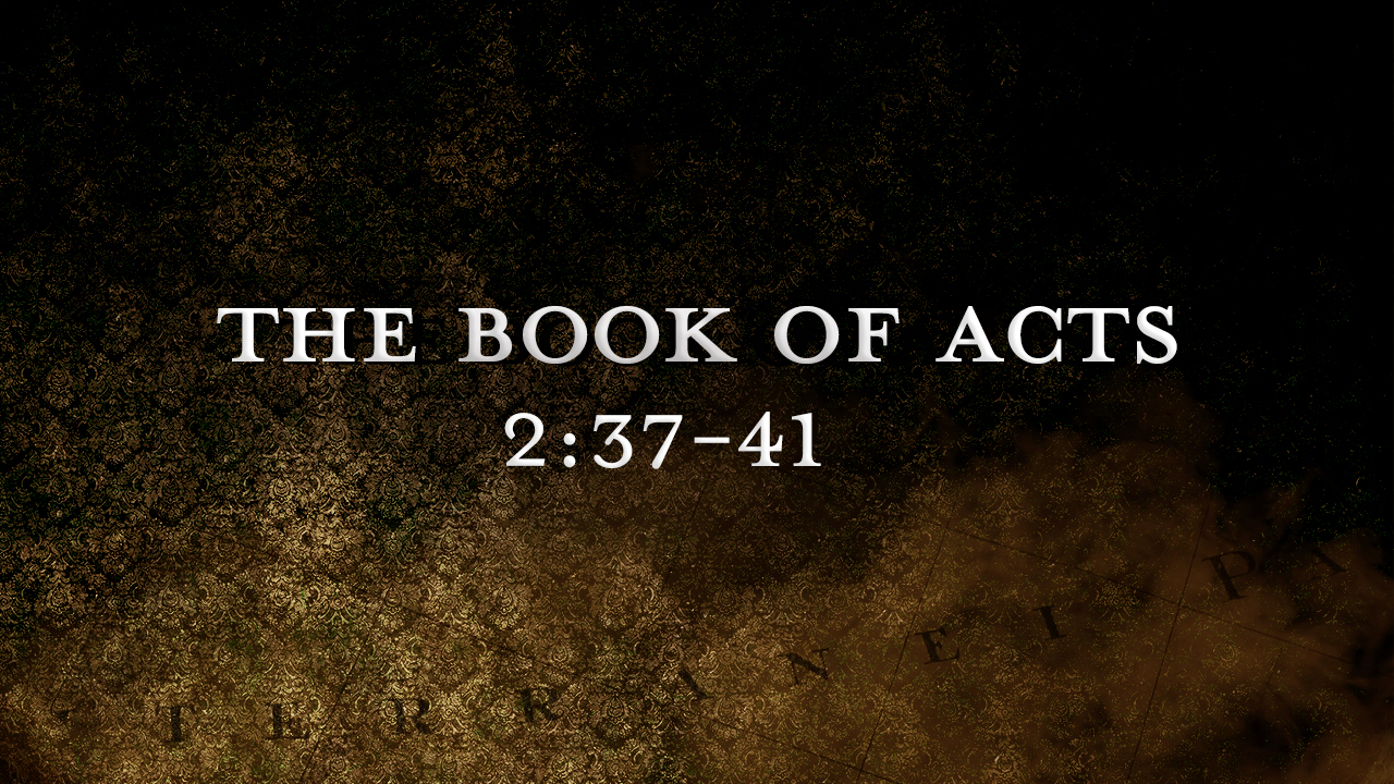Cut to the Heart | Grace Fellowship Saskatoon | Grace Fellowship ...